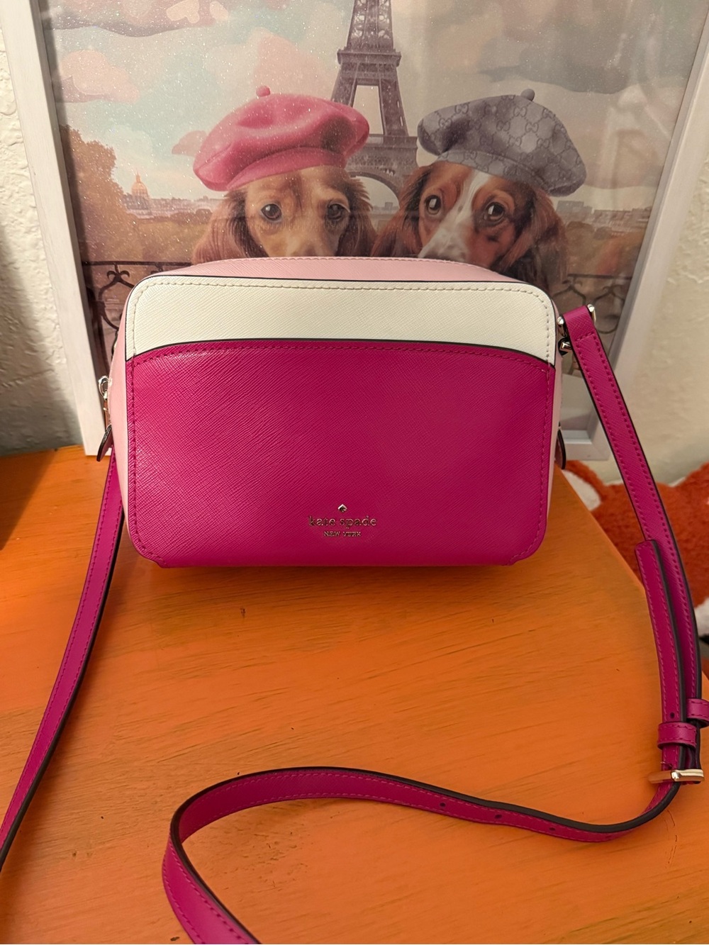 Kate Spade Lauryn Colorblock Camera Bag/Crossbody EUC - Picture 1 of 14